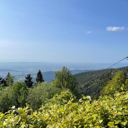 Neue Ferienwohnung Mit Whirlpool Und Sauna In Der Residenz Grafenmatt Inklusive Hochschwarzwaldcard Feldberg  Exteriör bild