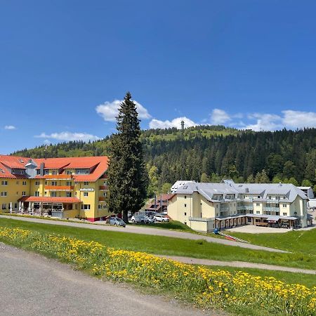 Neue Ferienwohnung Mit Whirlpool Und Sauna In Der Residenz Grafenmatt Inklusive Hochschwarzwaldcard Feldberg  Exteriör bild