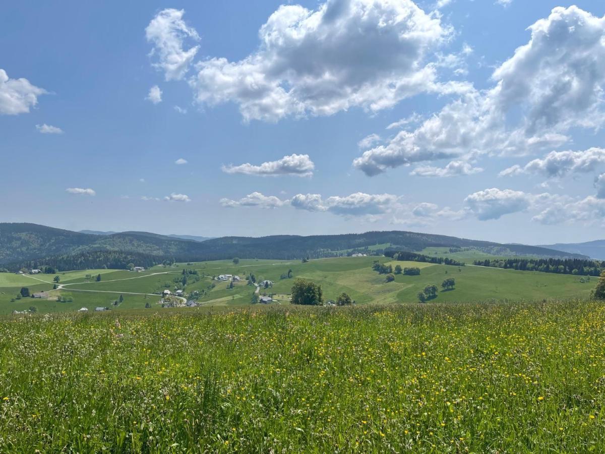Neue Ferienwohnung Mit Whirlpool Und Sauna In Der Residenz Grafenmatt Inklusive Hochschwarzwaldcard Feldberg  Exteriör bild