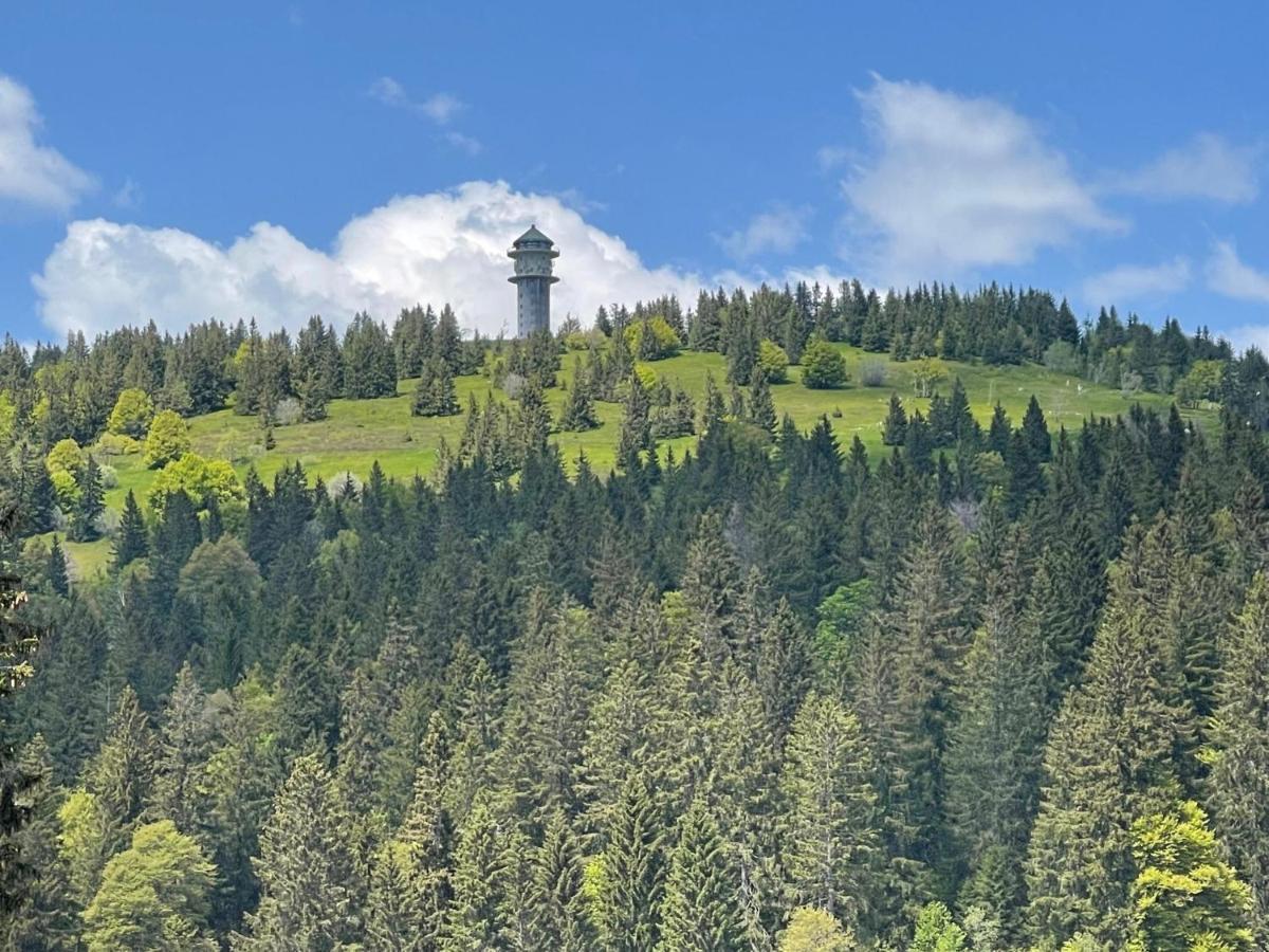 Neue Ferienwohnung Mit Whirlpool Und Sauna In Der Residenz Grafenmatt Inklusive Hochschwarzwaldcard Feldberg  Exteriör bild
