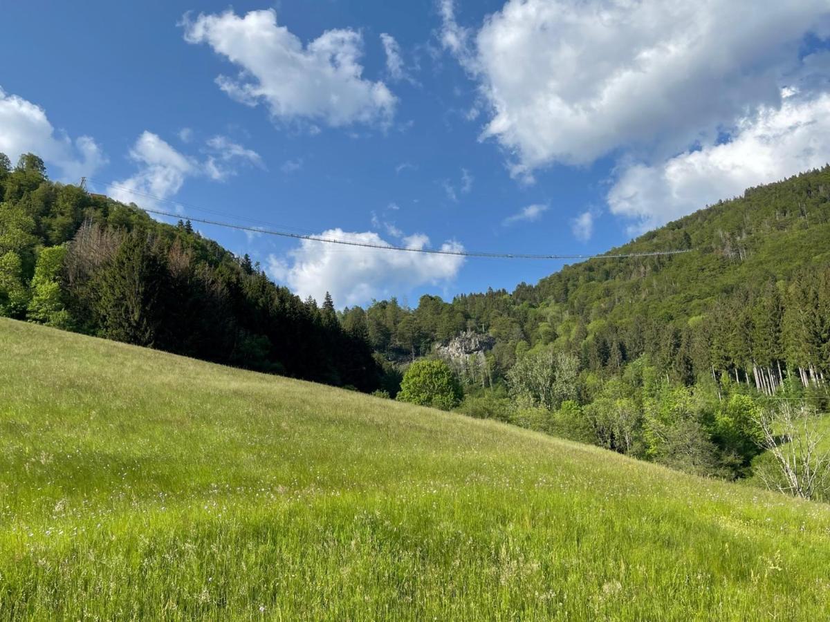 Neue Ferienwohnung Mit Whirlpool Und Sauna In Der Residenz Grafenmatt Inklusive Hochschwarzwaldcard Feldberg  Exteriör bild